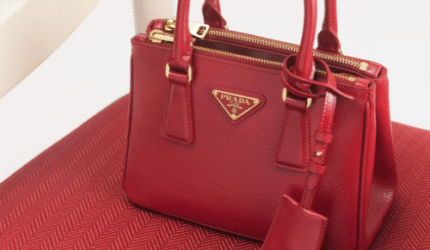 微信截图_20241212164805-1